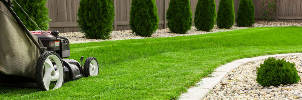 We provide landscaping
services since 1978