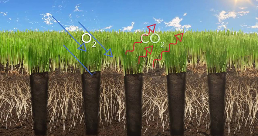 core-aeration-process