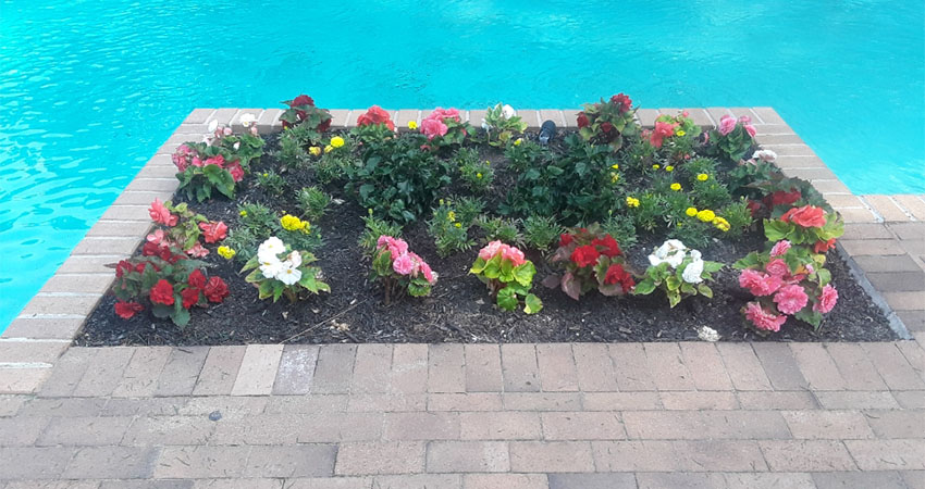 flowers-DKL-landscaping-long-island