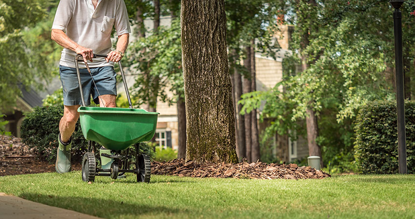 lawn-seeding-spreader-best-long-island-landscaper-DKL-Landscaping