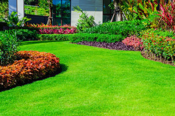 Landscape Design & Installation